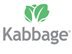 Kabbage reviews